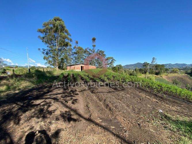 Lote en venta en Cascajo Abajo, Marinilla · foto 7 de 12