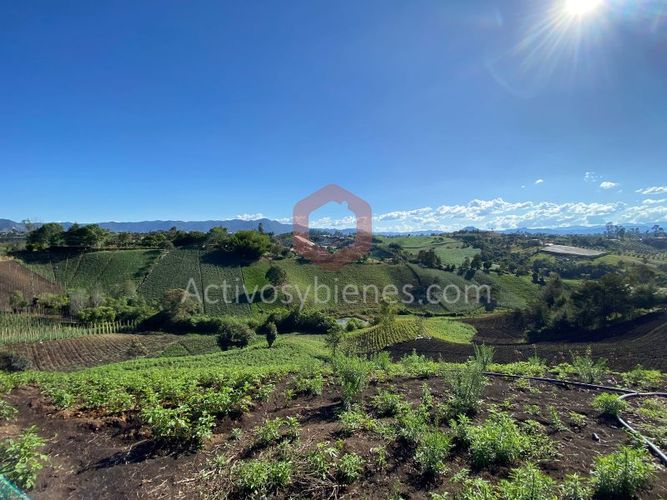 Lote en venta en Cascajo Abajo, Marinilla · foto 8 de 12