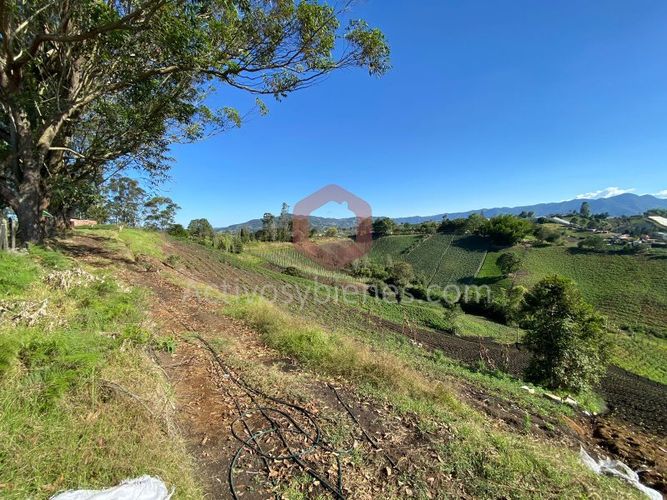 Lote en venta en Cascajo Abajo, Marinilla · foto 12 de 12