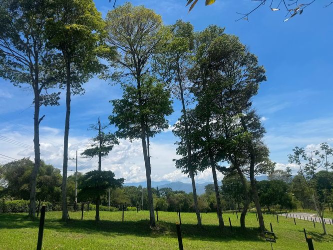 Lote en venta en Ruitoque, Piedecuesta, 1200 m² · foto 5 de 14