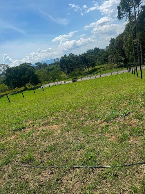 Lote en venta en Ruitoque, Piedecuesta, 1200 m² · foto 13 de 14