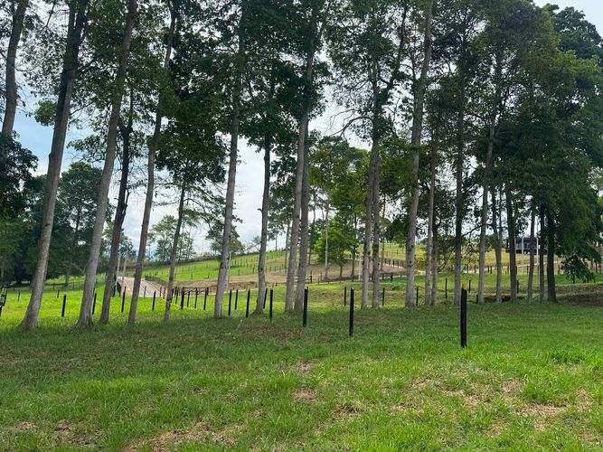 Lote en venta en Ruitoque, Piedecuesta, 1200 m² · foto 14 de 14