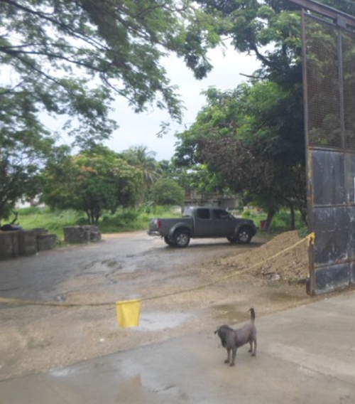 Lote en venta en Cordialidad, Barranquilla, 53 m² · foto 3 de 15