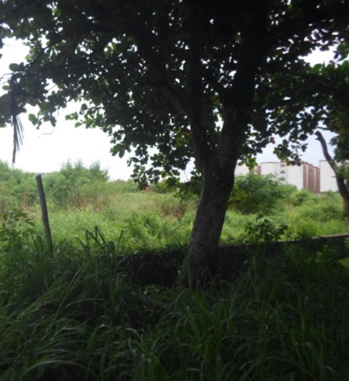 Lote en venta en Cordialidad, Barranquilla, 53 m² · foto 6 de 15