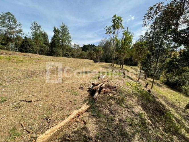 Lote en venta en Piedras Blancas, Guarne, 9300 m² · foto 5 de 14