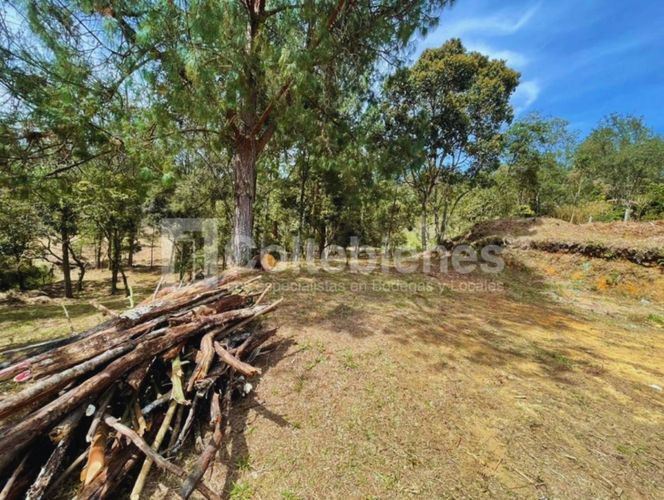 Lote en venta en Piedras Blancas, Guarne, 9300 m² · foto 6 de 14