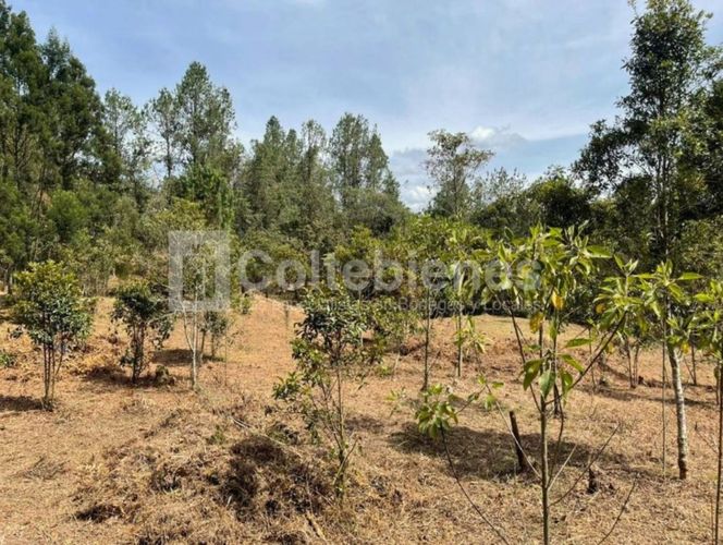 Lote en venta en Piedras Blancas, Guarne, 9300 m² · foto 8 de 14