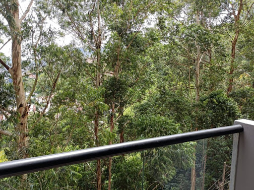 Apartamento en venta en Las Palmas, Medellín · foto 13 de 15