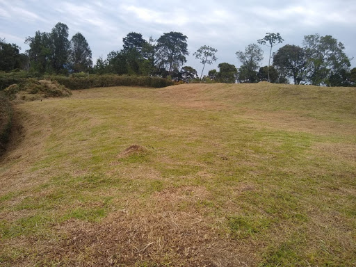 Land in Pantanillo (2537 m²) for Sale - 3