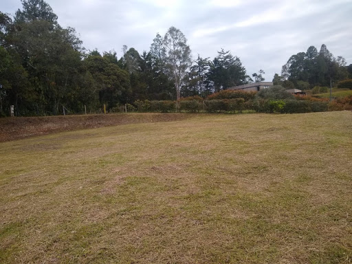 Land in Pantanillo (2537 m²) for Sale - 4
