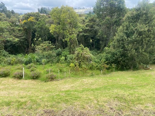 Lote en venta en Las Palmas, Envigado, 2883 m² · foto 3 de 8