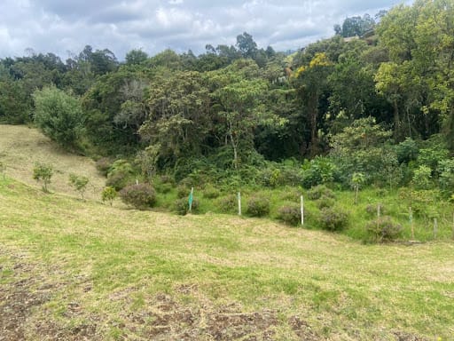 Lote en venta en Las Palmas, Envigado, 2883 m² · foto 4 de 8