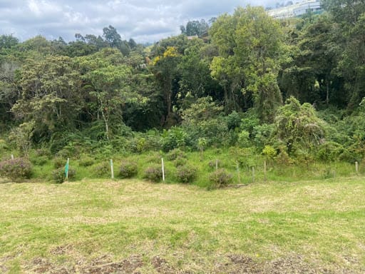 Lote en venta en Las Palmas, Envigado, 2883 m² · foto 6 de 8