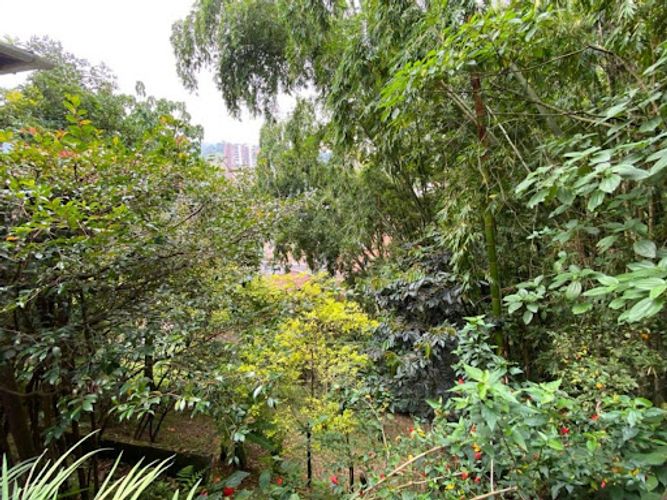 Casa de 4 alcobas en venta en El Salado, Envigado, 244 m² · foto 24 de 24