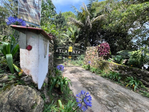 Casa en arriendo en Los Balsos, Medellín · foto 6 de 24