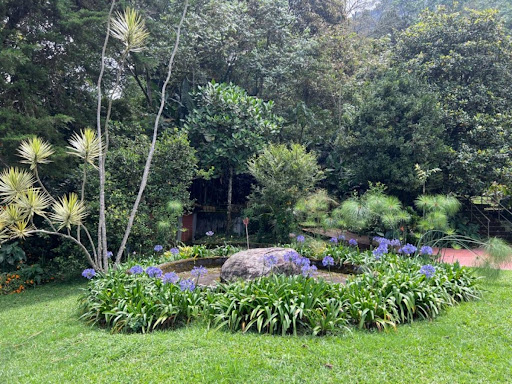 Casa en arriendo en Los Balsos, Medellín · foto 7 de 24