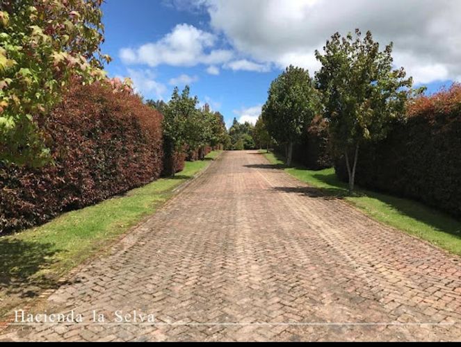 Lote en venta en Paso Real, La Calera, 3569 m² · foto 11 de 17
