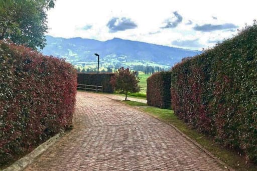 Lote en venta en Paso Real, La Calera, 3569 m² · foto 12 de 17