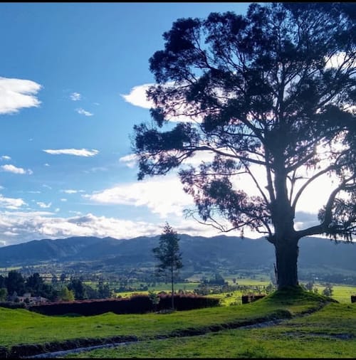 Lote en venta en Paso Real, La Calera, 3569 m² · foto 13 de 17