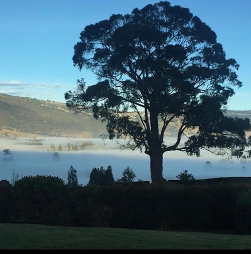 Lote en venta en Paso Real, La Calera, 3569 m² · foto 15 de 17