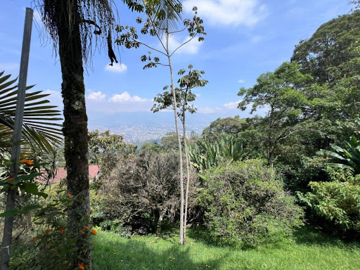 Casa en arriendo en Los Balsos, Medellín · foto 20 de 24