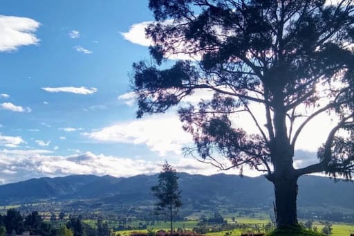 Lote en venta en Paso Real, La Calera, 3569 m² · foto 17 de 17