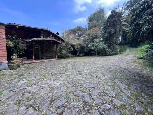 Casa en arriendo en Los Balsos, Medellín · foto 23 de 24