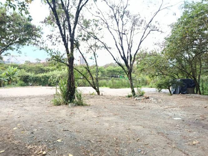 Lote en arriendo en Madera, Bello, 1500 m² · foto 3 de 9