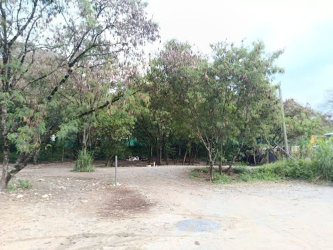 Lote en arriendo en Madera, Bello, 1500 m² · foto 7 de 9