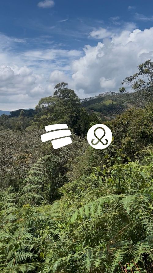 Lote en venta en Guayabito, Rionegro, 30000 m² · foto 5 de 8