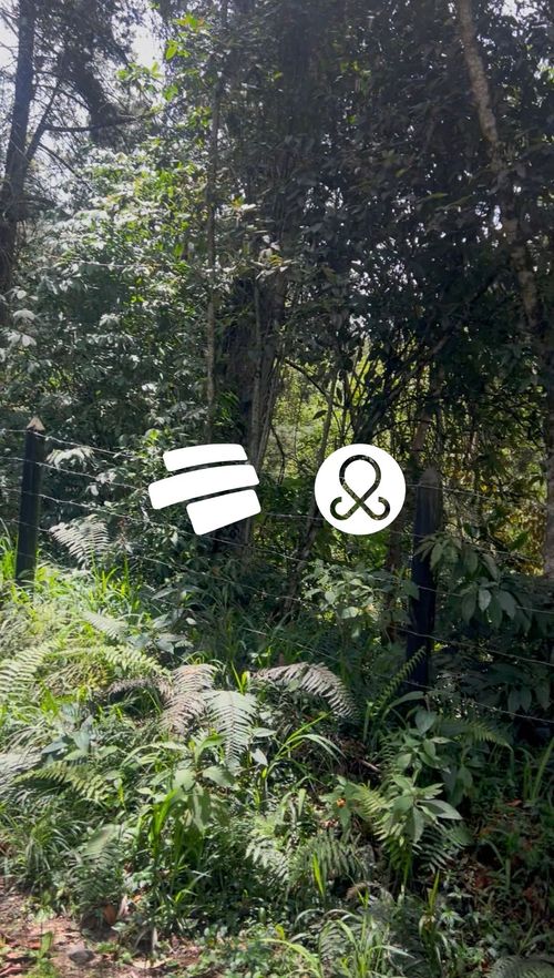 Lote en venta en Guayabito, Rionegro, 30000 m² · foto 6 de 8