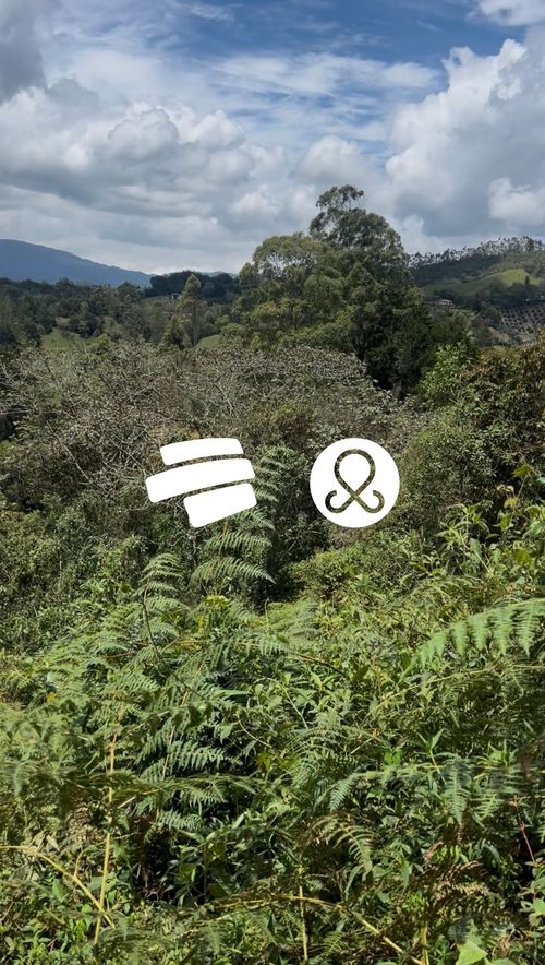 Lote en venta en Guayabito, Rionegro, 30000 m² · foto 7 de 8