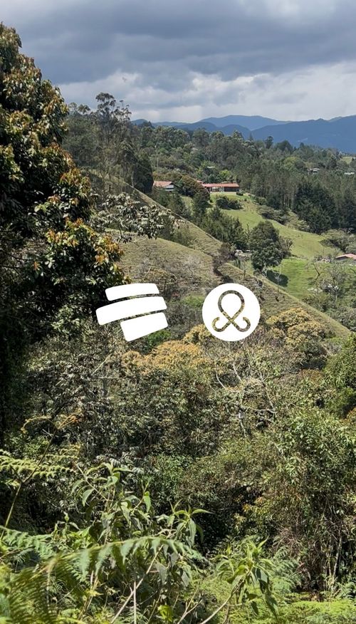 Lote en venta en Guayabito, Rionegro, 30000 m² · foto 8 de 8