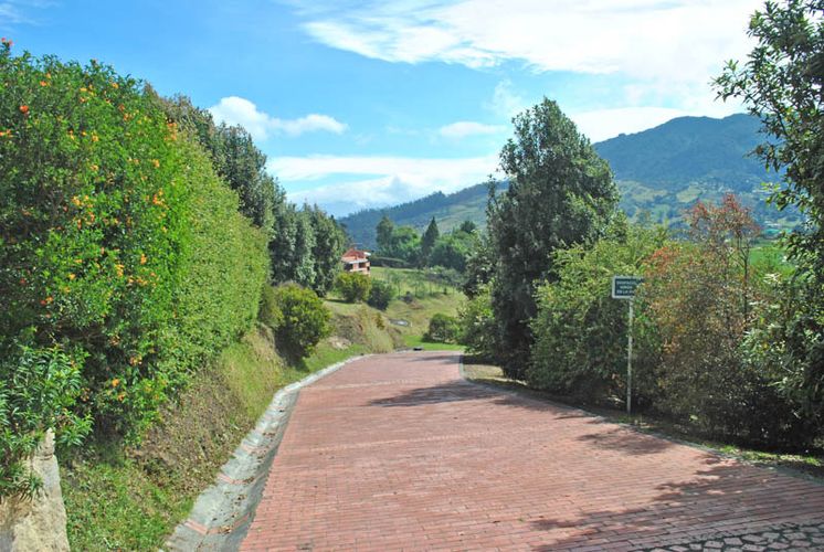 Lote en venta en El Libano, La Calera, 3013 m² · foto 15 de 20