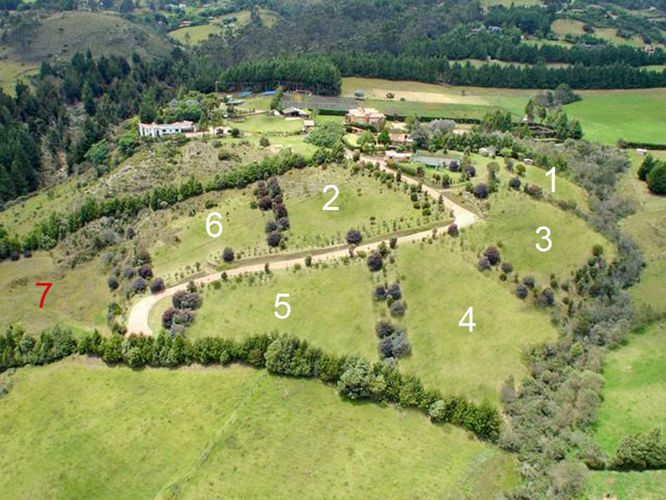 Lote en venta en El Libano, La Calera, 6400 m² · foto 2 de 21