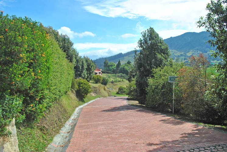Lote en venta en El Libano, La Calera, 3336 m² · foto 12 de 20