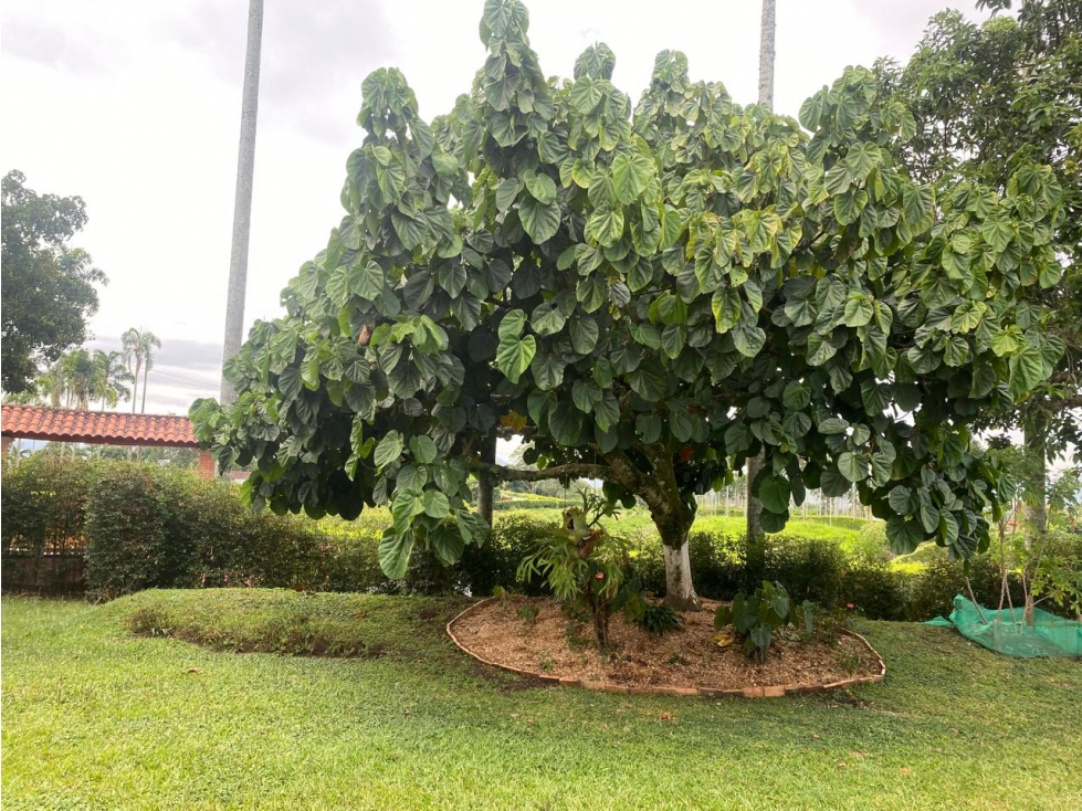 Casa en venta en Cerritos, Pereira · foto 4 de 17