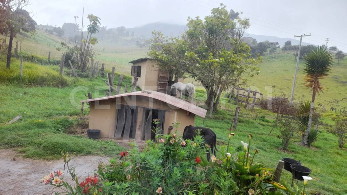 Casa en venta en San Jose De La Concepcion, La Calera · foto 18 de 22