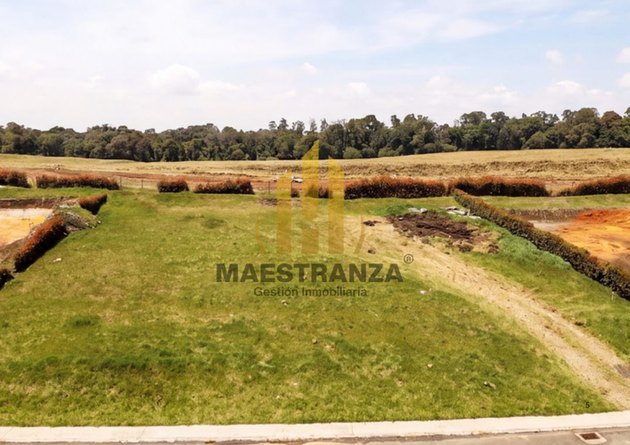 Lote en venta en Loma Del Chocho, Envigado, 1600 m² · foto 5 de 7
