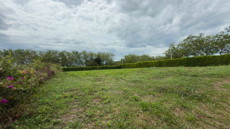 Lote en venta en Morelia, Pereira · foto 2 de 6