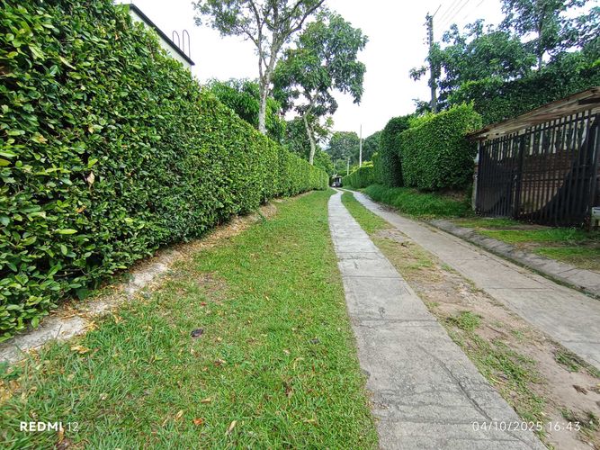 Casa de 4 alcobas en venta en Los Llanitos, Piedecuesta, 250 m² · foto 17 de 18