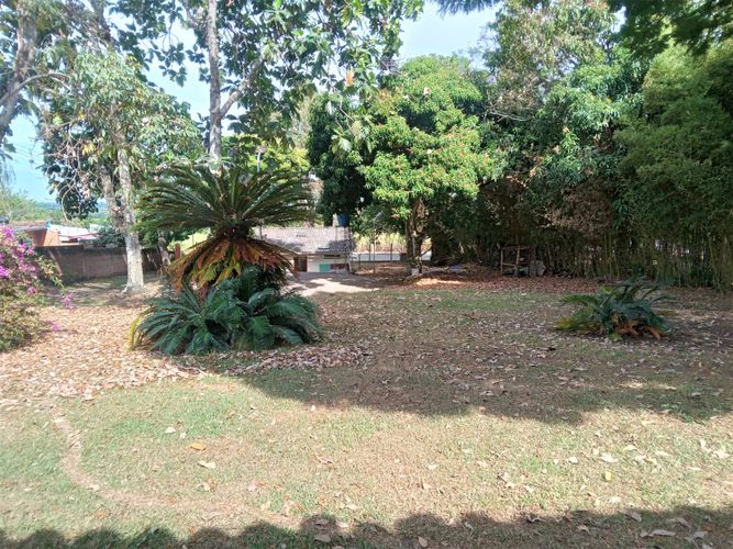 Finca en venta en Caluce - Plan De Vivienda Los Guayabos, Palmira, 197 m² · foto 6 de 22