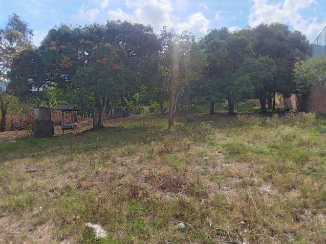 Finca en venta en Caluce - Plan De Vivienda Los Guayabos, Palmira, 197 m² · foto 17 de 22