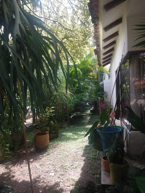 Casa de 4 alcobas en venta en La Morada, Jamundí, 600 m² · foto 4 de 24