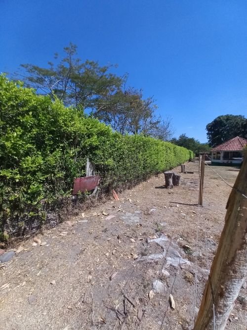 Lote en venta en Aparco, Ibagué, 2116 m² · foto 3 de 24