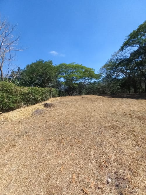Lote en venta en Aparco, Ibagué, 2116 m² · foto 10 de 24