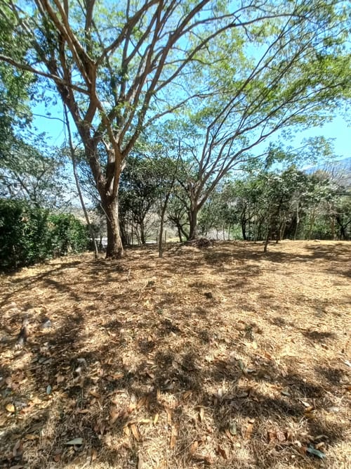 Lote en venta en Aparco, Ibagué, 2116 m² · foto 11 de 24