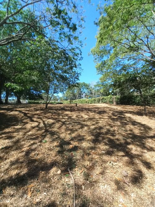 Lote en venta en Aparco, Ibagué, 2116 m² · foto 15 de 24