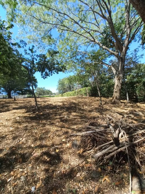 Lote en venta en Aparco, Ibagué, 2116 m² · foto 16 de 24