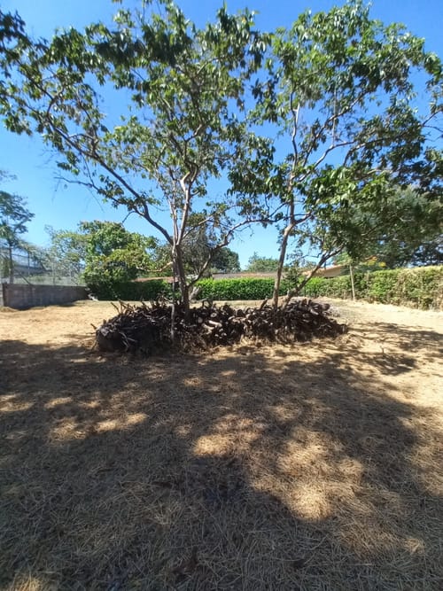 Lote en venta en Aparco, Ibagué, 2116 m² · foto 20 de 24